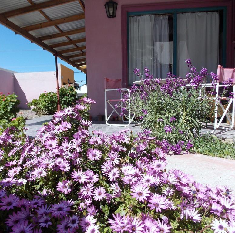 Posada Caracoles Puerto Pirámides Εξωτερικό φωτογραφία
