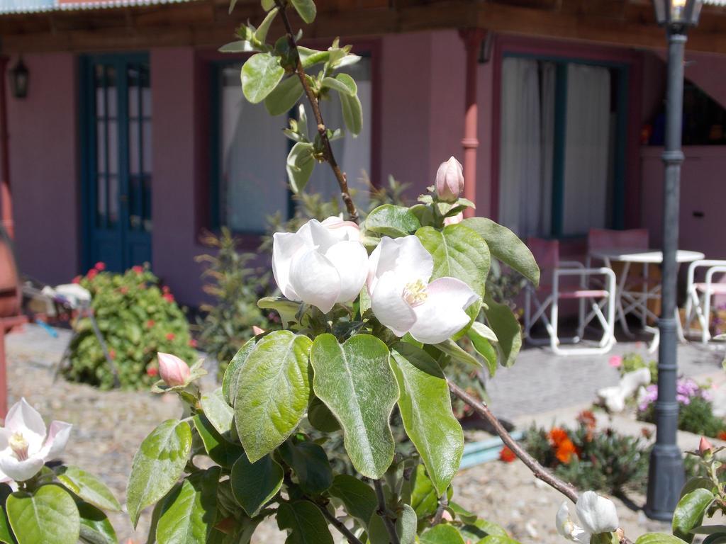 Posada Caracoles Puerto Pirámides Εξωτερικό φωτογραφία