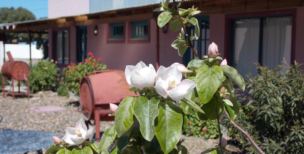 Posada Caracoles Puerto Pirámides Δωμάτιο φωτογραφία